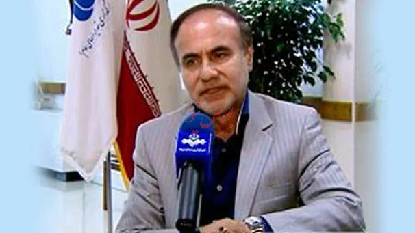 صندوق تأمین خسارت‌‎های بدنی، الگوساز نهادسازی عمومی در کشور