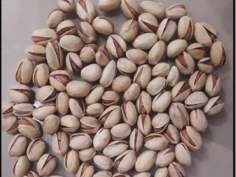 آغاز معاملات گواهی سپرده پسته از دو روز آینده