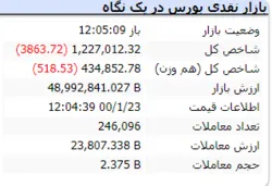شاخص در این لحظات با ریزش ۳۸۶۳ واحدی مواجه است