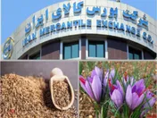 هزینه انبارداری محصولات کشاورزی فرآوری نشده مالیات ندارد