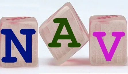 NAV هر سهم 
