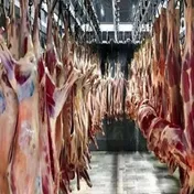 قیمت روز گوشت گوسفندی - ۱۳ اردیبهشت ۱۴۰۴