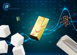 آیا باید نگران افزایش نرخ بهره فدرال رزرو باشیم