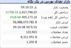 شاخص رشد ۱۱ هزار واحدی دارد