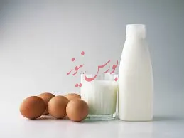 افزایش و کاهش 6درصدی تولید شیر و تخم مرغ