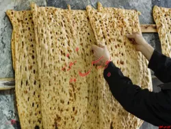 اصلاح پرداخت یارانه ها برای نان سنتی
