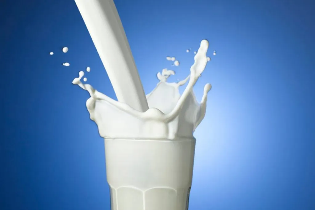 لبنی‌ها آماده تامین شیر مدارس