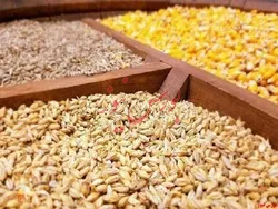 قیمت انواع نهاده های دامی و محصولات کشاورزی+جدول