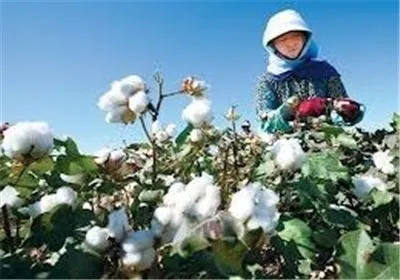 واردات از طریق بورس کالا می‌تواند مانع ورود محصولات بی‌کیفیت شود