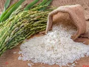 بازار برنج امسال وارد مرحله جدیدی شد