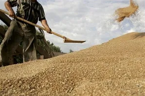 تجارت کشاورزی اوراسیا ۱۸ میلیارد دلار شد