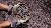 ماراتن بی پایان قیمت‌گذاری کنسانتره و گندله