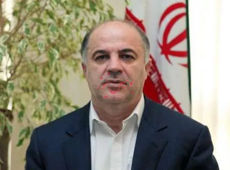 مدیرعامل توانیر: مشکل خاصی در شبکه برق وجود ندارد