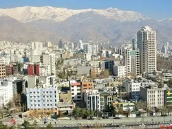 شریک 