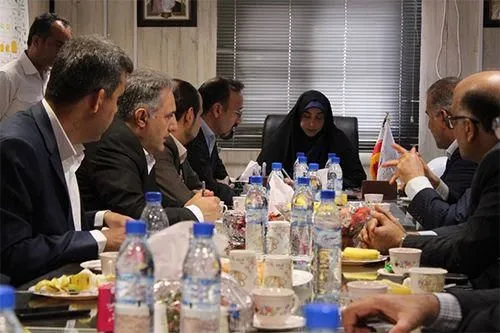 بازدید مدیرعامل بانک صنعت و معدن از سایت پتروشیمی صدف عسلویه