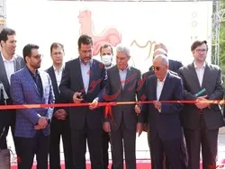 حضور بزرگترین کارخانه کانفکشنری غرب آسیا در نمایشگاه بین المللی شیرینی و شکلات تهران