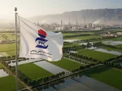 لنگرگاه امن سودآوری در بازار مواج؛ چگونه 
