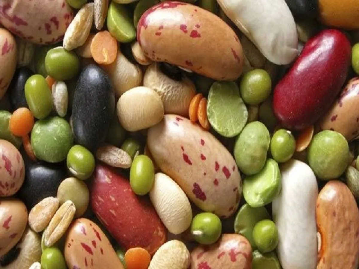 کاهش تعرفه واردات گندم و حبوبات