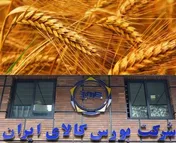 عرضه تدریجی کل گندم کشور در بورس کالا گامی موثر است