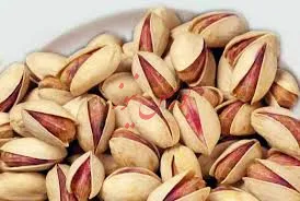 لبخندی به ارزش و طعم پسته/ سایه تعاونی‌های دولتی بر این کالای صادراتی