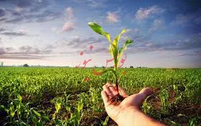 تخصیص 54 میلیارد تومان برای اجرای پروژه های آب و خاک تهران