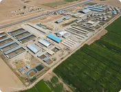سهامداران 