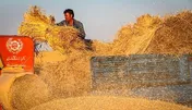 نامه سرگشاده گندم‌کاران به روحانی