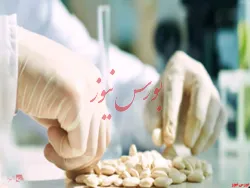سهامداران 