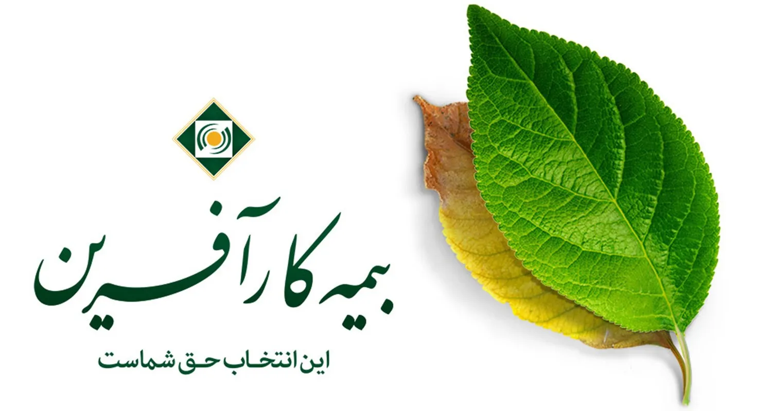 سرمایه‌گذاری به رنگ بازارسرمایه / تغییر رویکرد با مجوز هیات مدیره