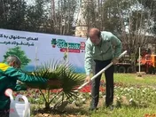 اهدای ۵۰۰۰ نهال با شعار هر فولادی یک نهال