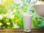 قیمت جدید شیرخام اجرا می شود