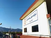 رشد سود 