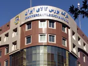 دادوستد ۳۵۵ هزار تن محصول در بورس کالا