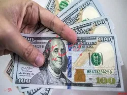 کاهش قیمت دلار با ساماندهی بازار ارز