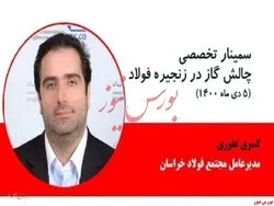 با قطع گاز، صادرات فولادی‌ها کاهش می‌یابد
