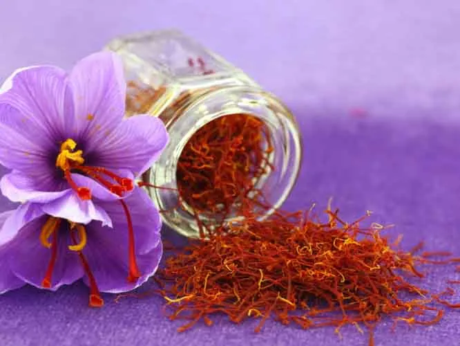 تأثیر مثبت بورس‌کالا در عرضه طلای سرخ با قیمت واقعی / باید جلوی تقلب و صادرات فله‌ای زعفران را گرفت