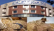 افزایش قیمت ۳۰ درصدی گندم در سال زراعی ۹۷_۹۸