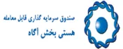 بازدهی ۱۷۷ درصدی این صندوق در سال گذشته