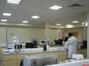 پرداخت سود 