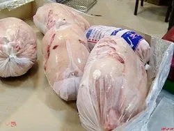 توزیع مرغ منجمد به میزان ۱۰۰۰ تن در روز