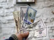 افزایش نرخ رسمی ۲۰ ارز