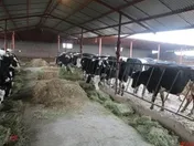 ثبت سرمایه 