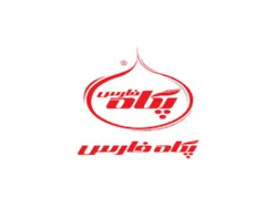 ۱۰۶ درصد افزایش درآمد سالانه 