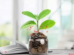 عرضه اوراق اختیار فروش تبعی 