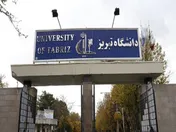 استارتاپ کارآفرینی اجتماعی به میزبانی دانشگاه تبریز برگزار می‌شود