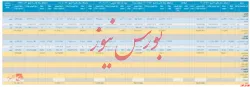 گزارش فعالیت ماهانه 