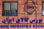 کاهش یارانه پرداختی دولت با اجرای سیاست قیمت تضمینی در بورس کالا