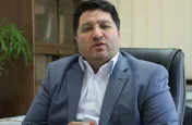 مدیرعامل سازمان حمایت منصوب شد