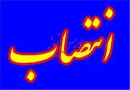 بهزاد محمدی در هیئت مدیره شرکت ملی صنایع پتروشیمی