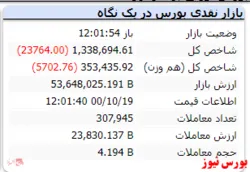 شاخص هم وزن نیز منفی است
